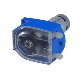  G-2Z+JZ25-ZT-20250421 